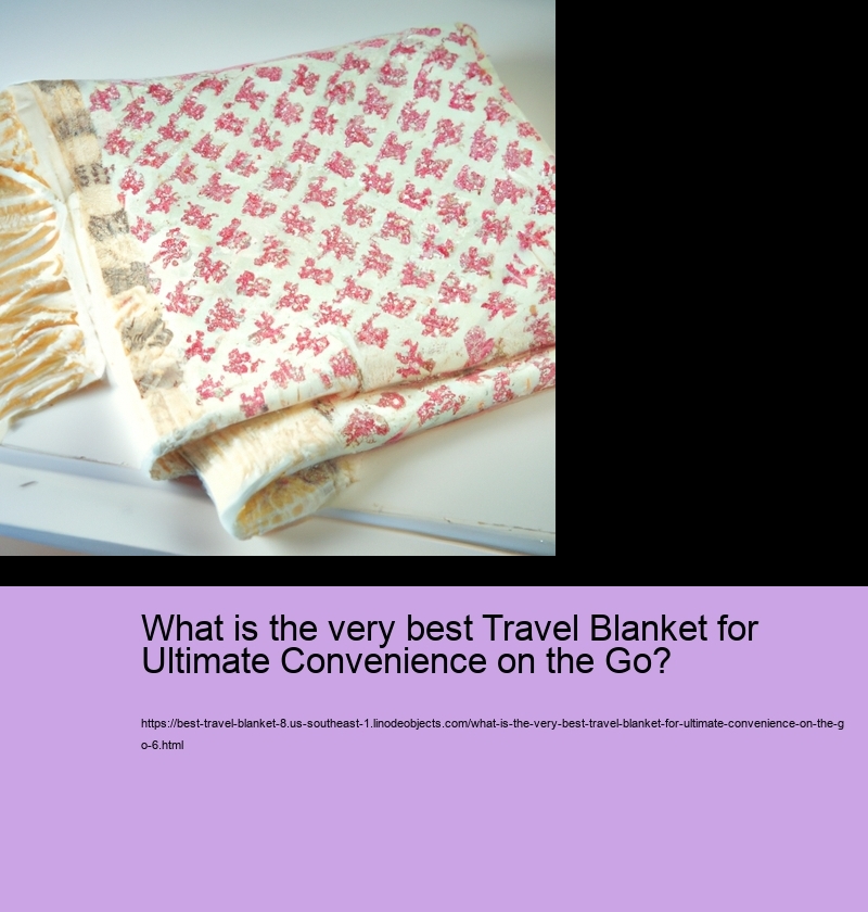 What is the very best Travel Blanket for Ultimate Convenience on the Go?